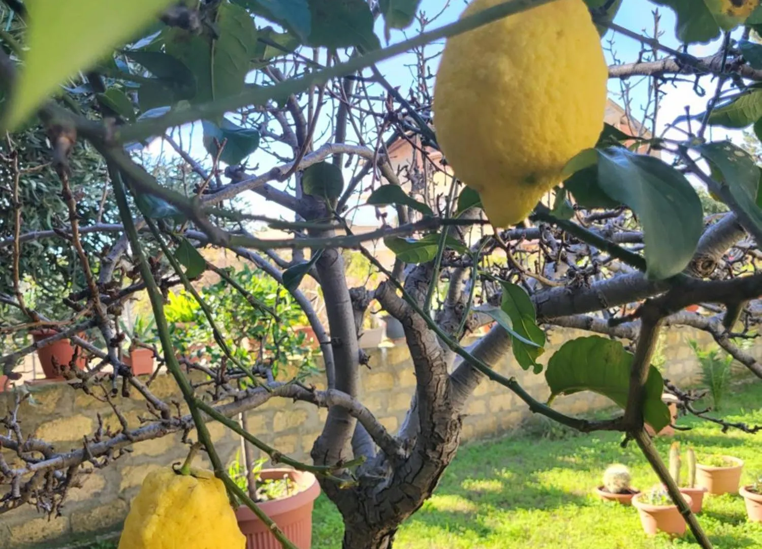Casa Villaggio Pirandello Agrigento Guest house